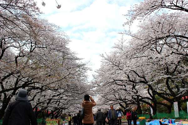 Parco ueno Parco ueno
